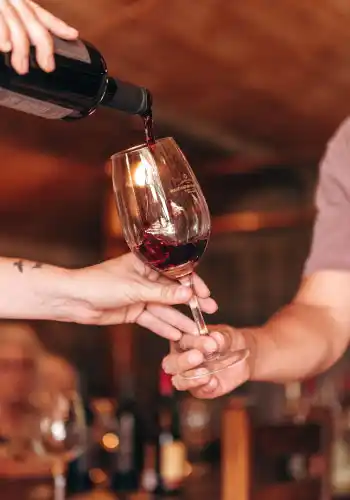 Descubrí nuevas experiencias en Finca del Sacramento