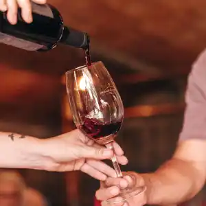 Descubrí nuevas experiencias en Finca del Sacramento