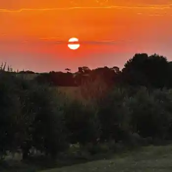 Galeria de Fotos Hotel Boutique Finca del Sacramento.