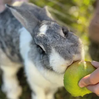 Galeria de Fotos Hotel Boutique Finca del Sacramento.