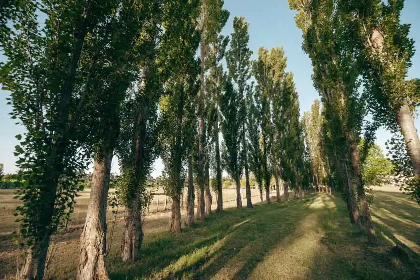 Experiencias en Finca del Sacramento