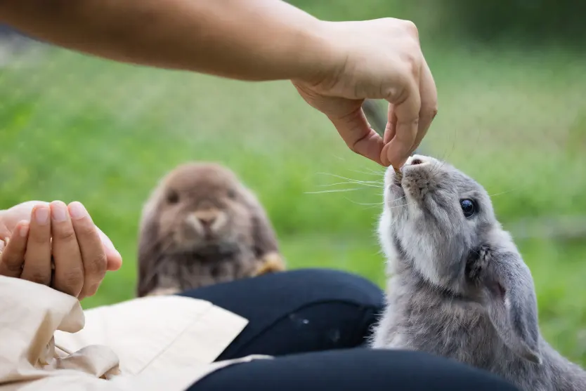 Hospitalidad Finca del Sacramento