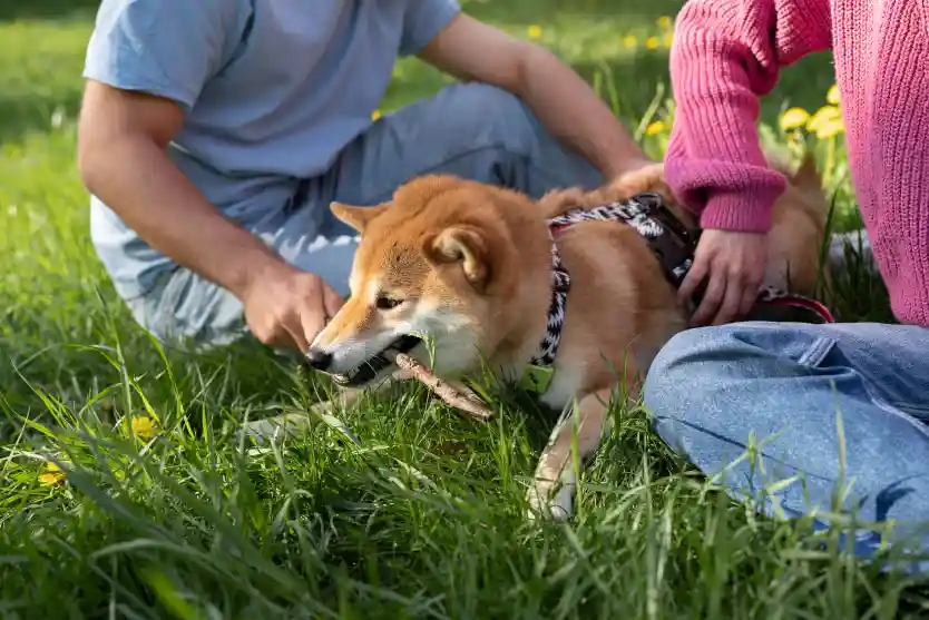 Calidad Finca del Sacramento