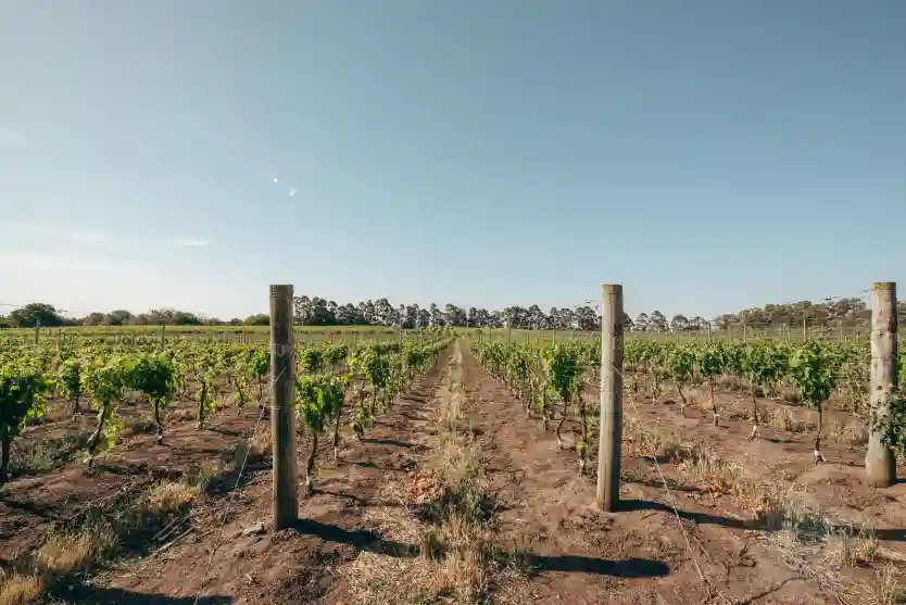 Hospitalidad Finca del Sacramento